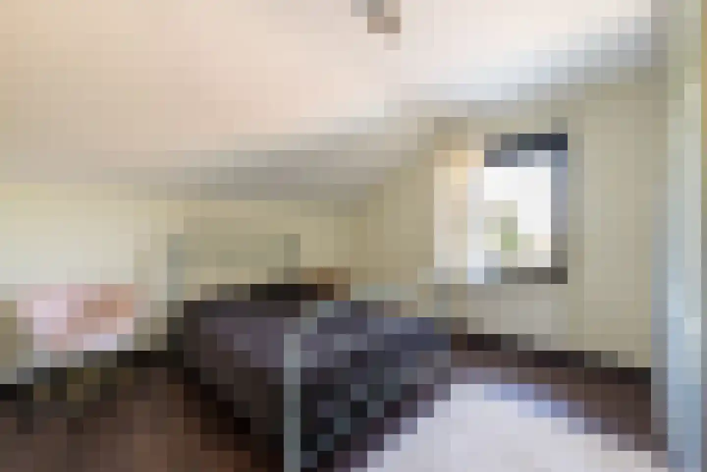 Maasbrachterweg 83 Echt thumbnail 34