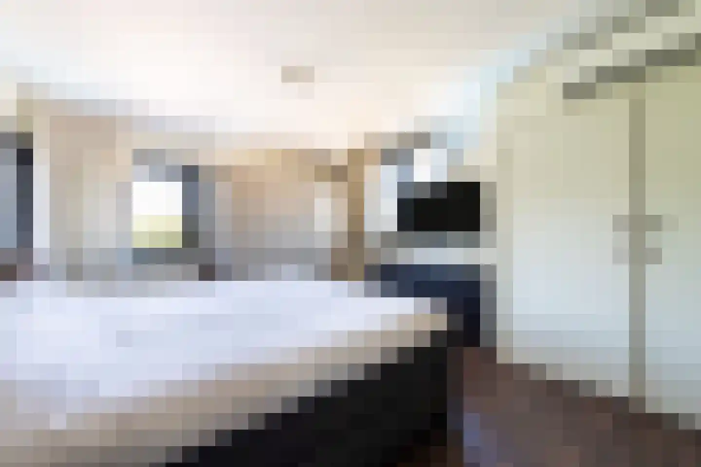 Maasbrachterweg 83 Echt thumbnail 36