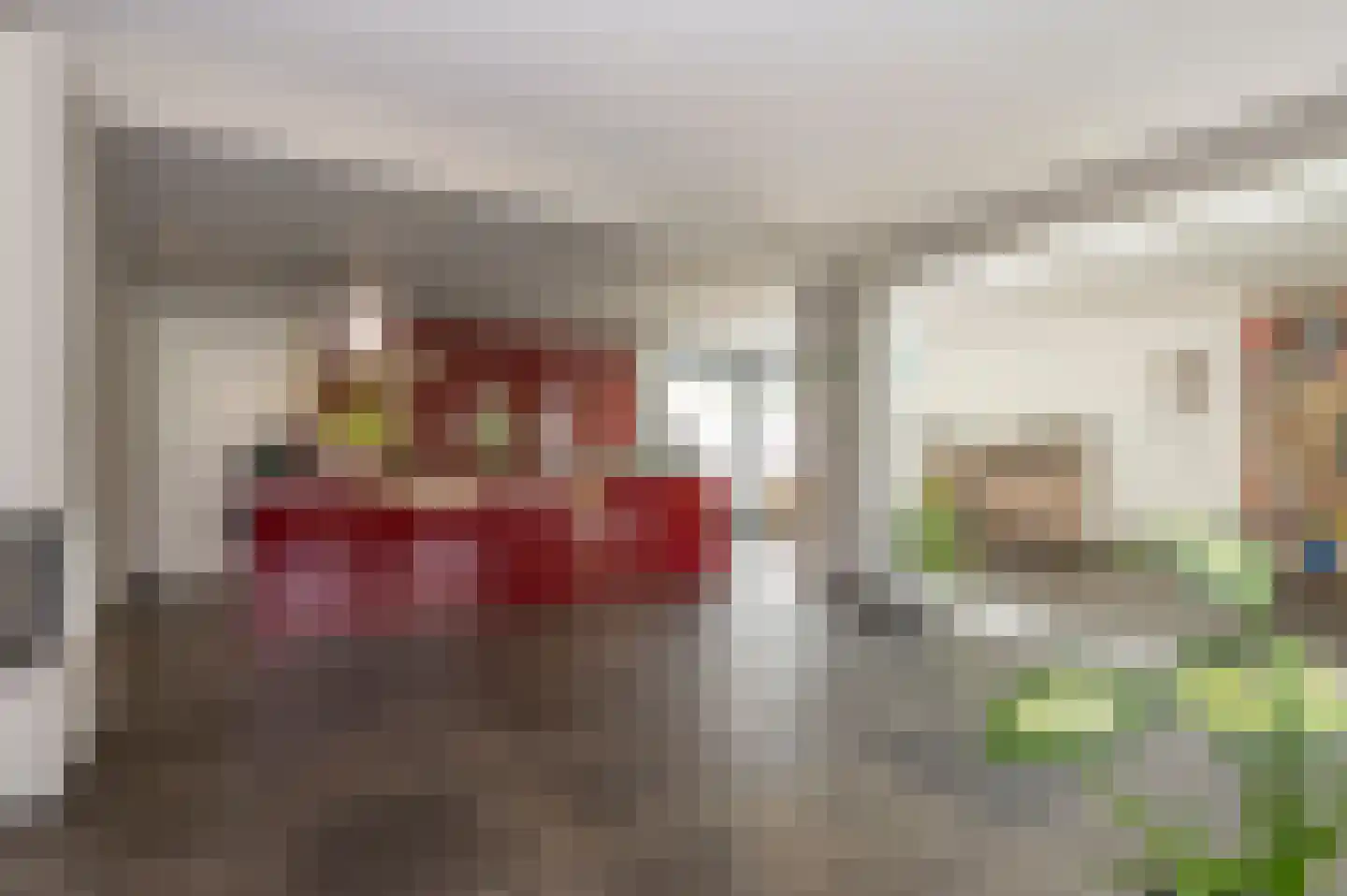 Maasbrachterweg 91 Echt thumbnail 10