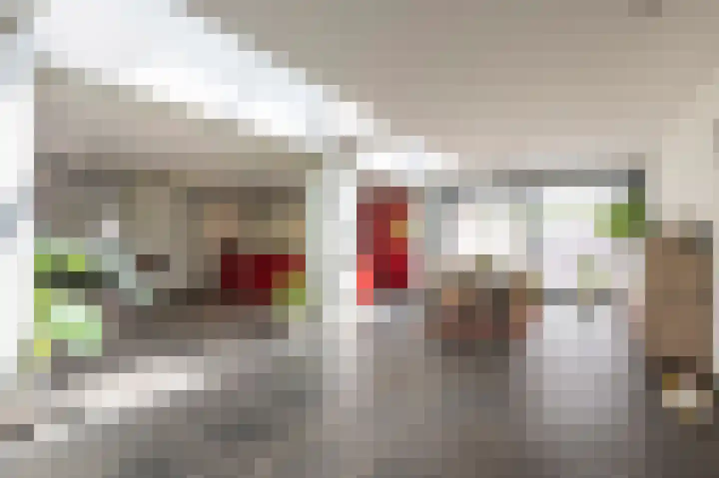 Maasbrachterweg 91 Echt thumbnail 12