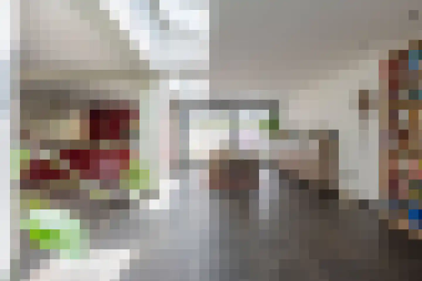 Maasbrachterweg 91 Echt thumbnail 13