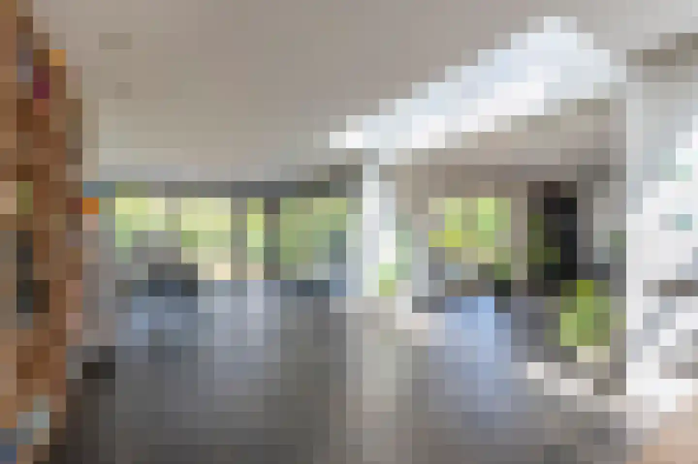 Maasbrachterweg 91 Echt thumbnail 14