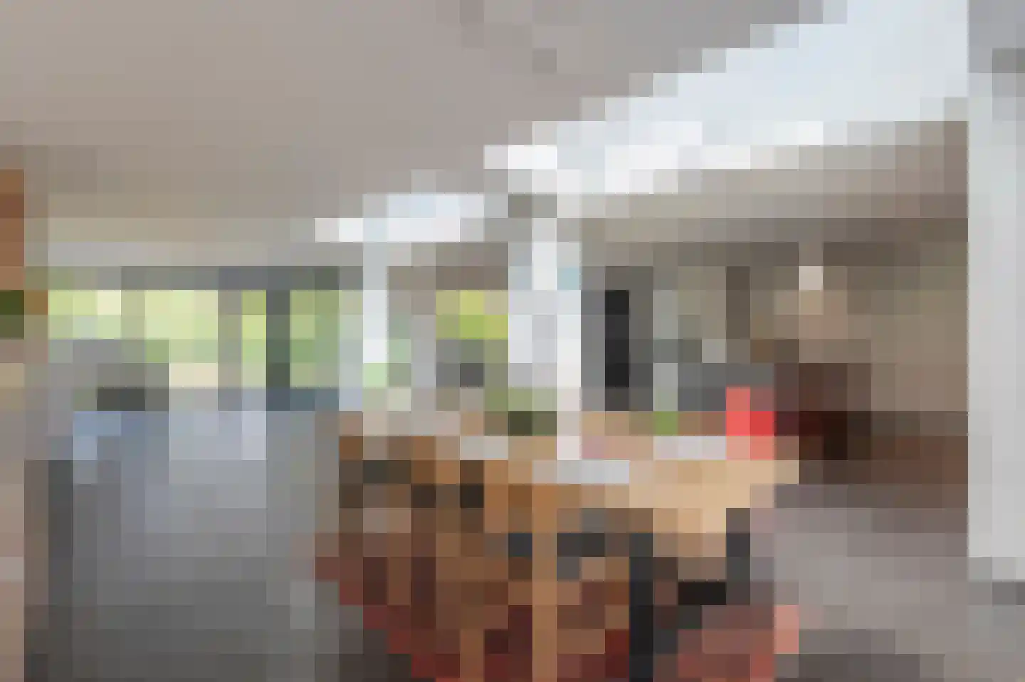Maasbrachterweg 91 Echt thumbnail 15