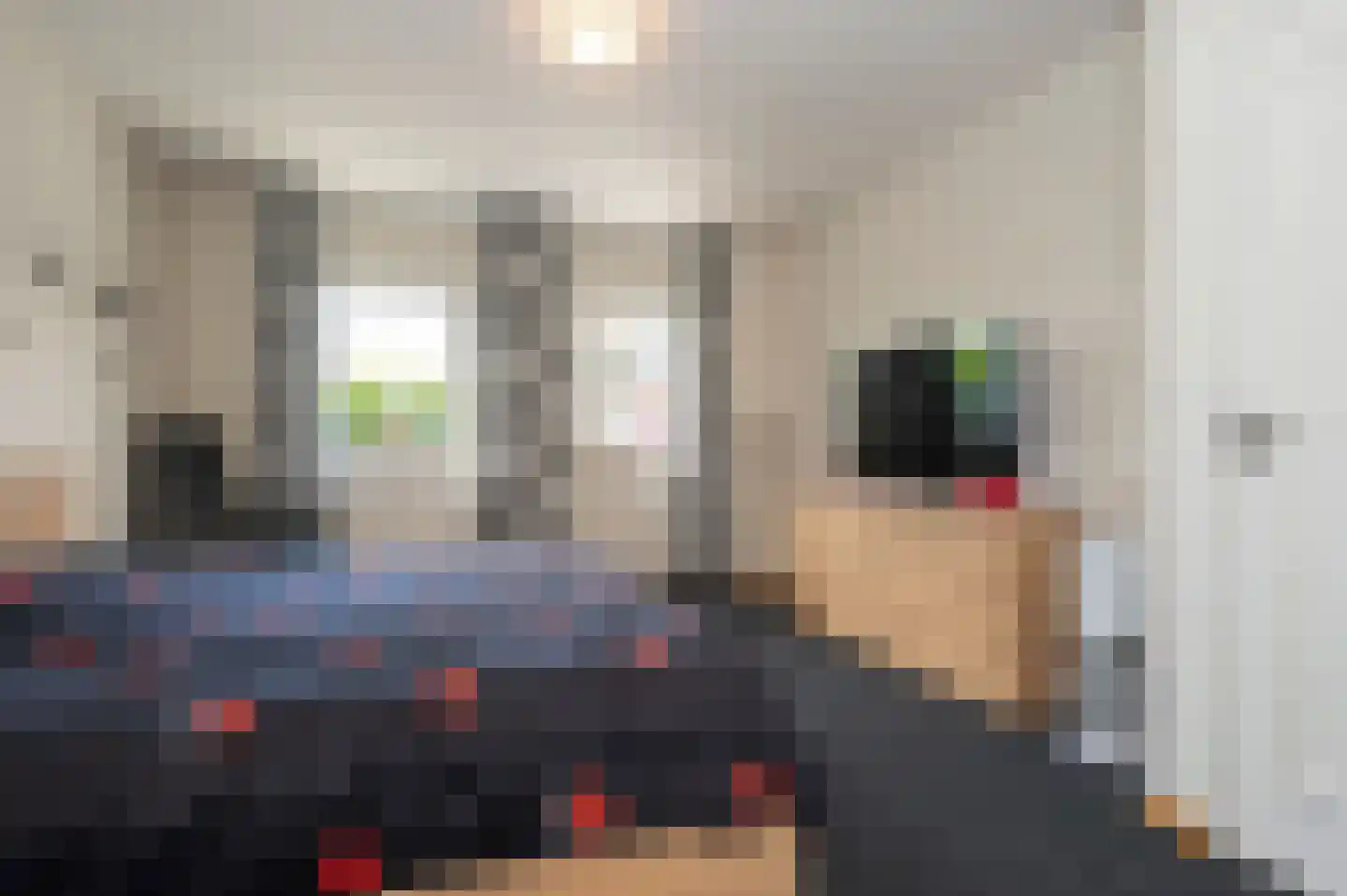 Maasbrachterweg 91 Echt thumbnail 19