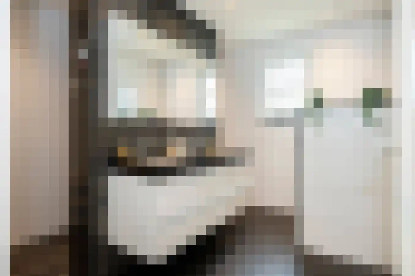Maasbrachterweg 91 Echt thumbnail 20