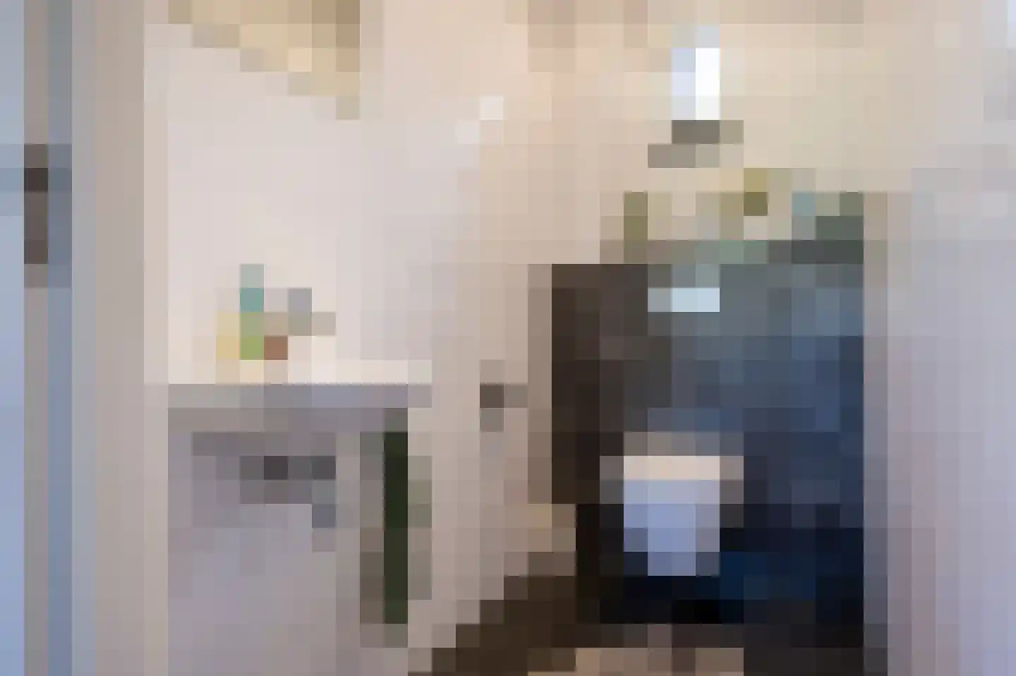 Maasbrachterweg 91 Echt thumbnail 23