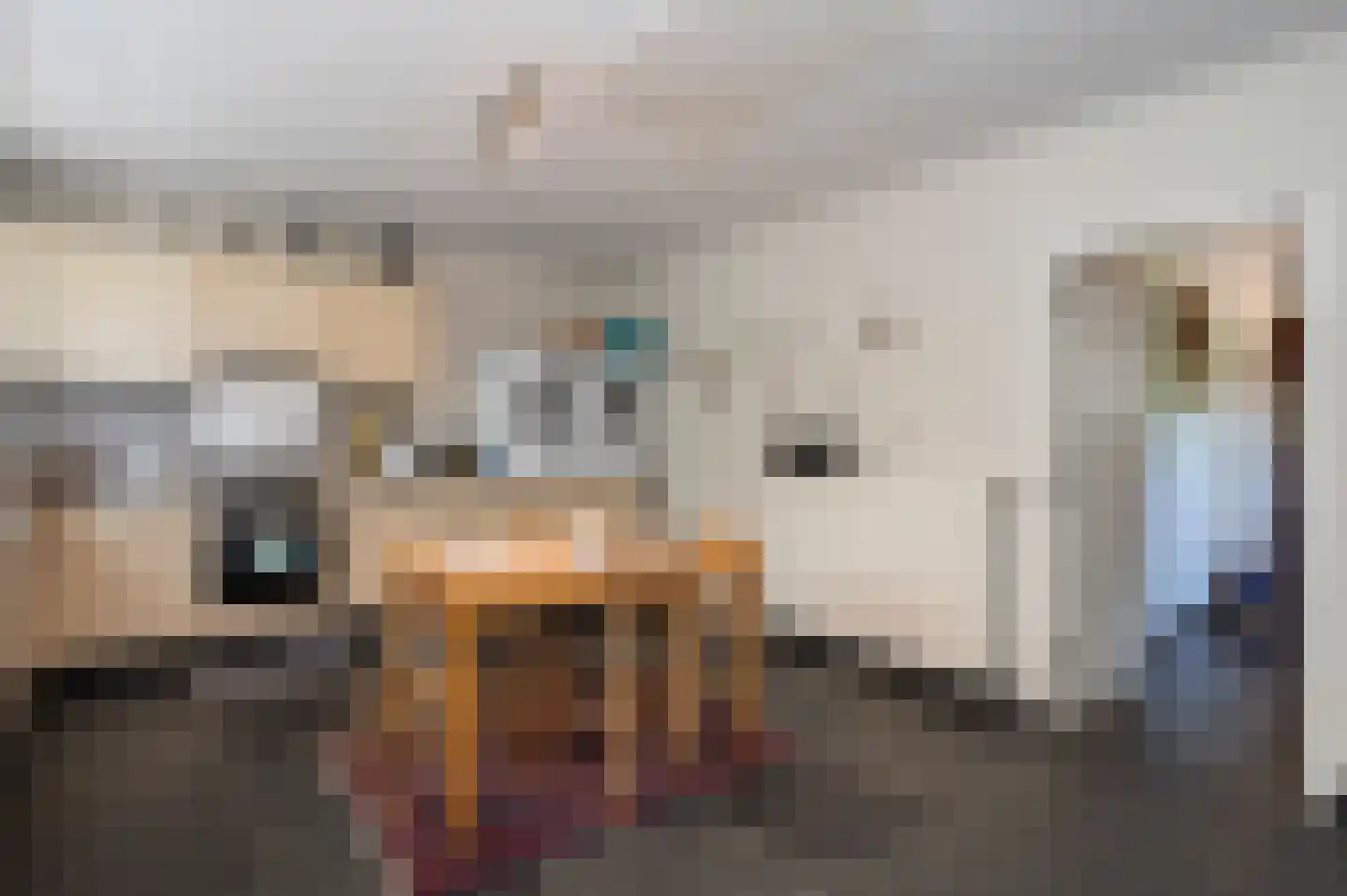 Maasbrachterweg 91 Echt thumbnail 25