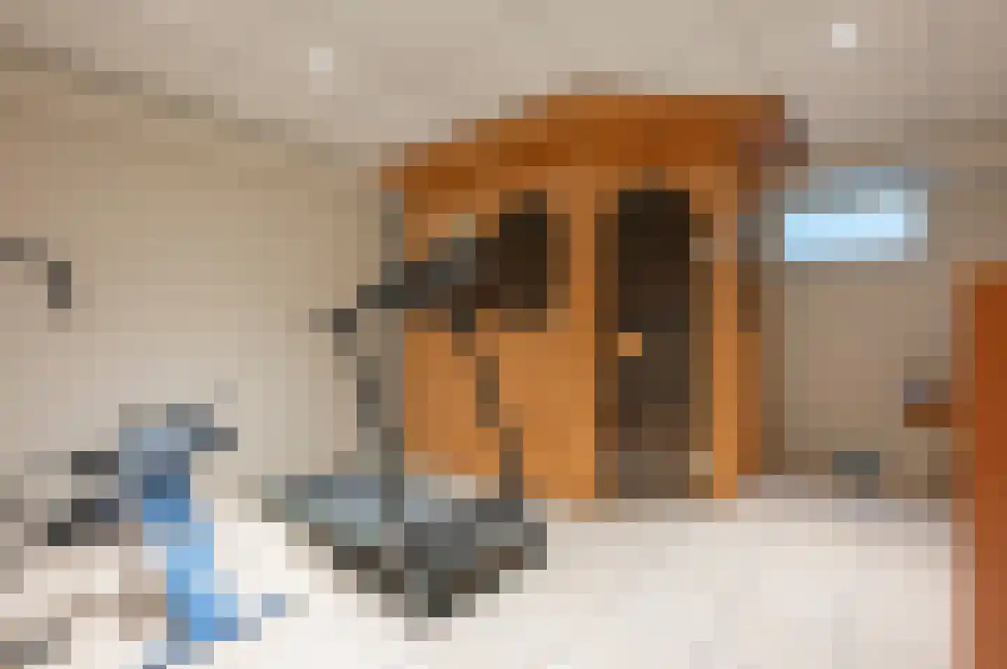 Maasbrachterweg 91 Echt thumbnail 34