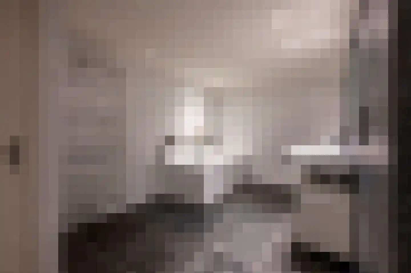 Maasbrachterweg 91 Echt thumbnail 36