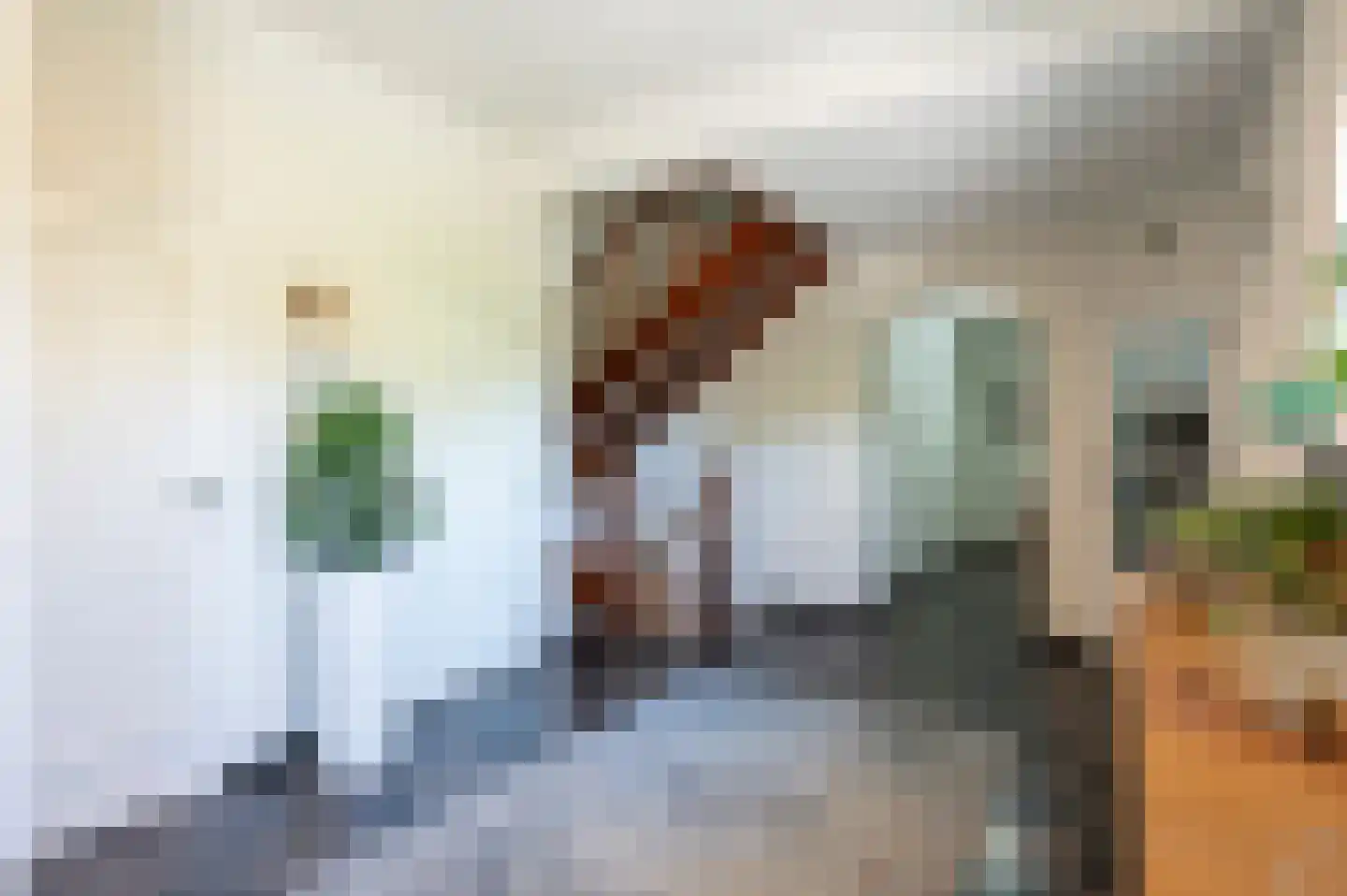 Maasbrachterweg 91 Echt thumbnail 4