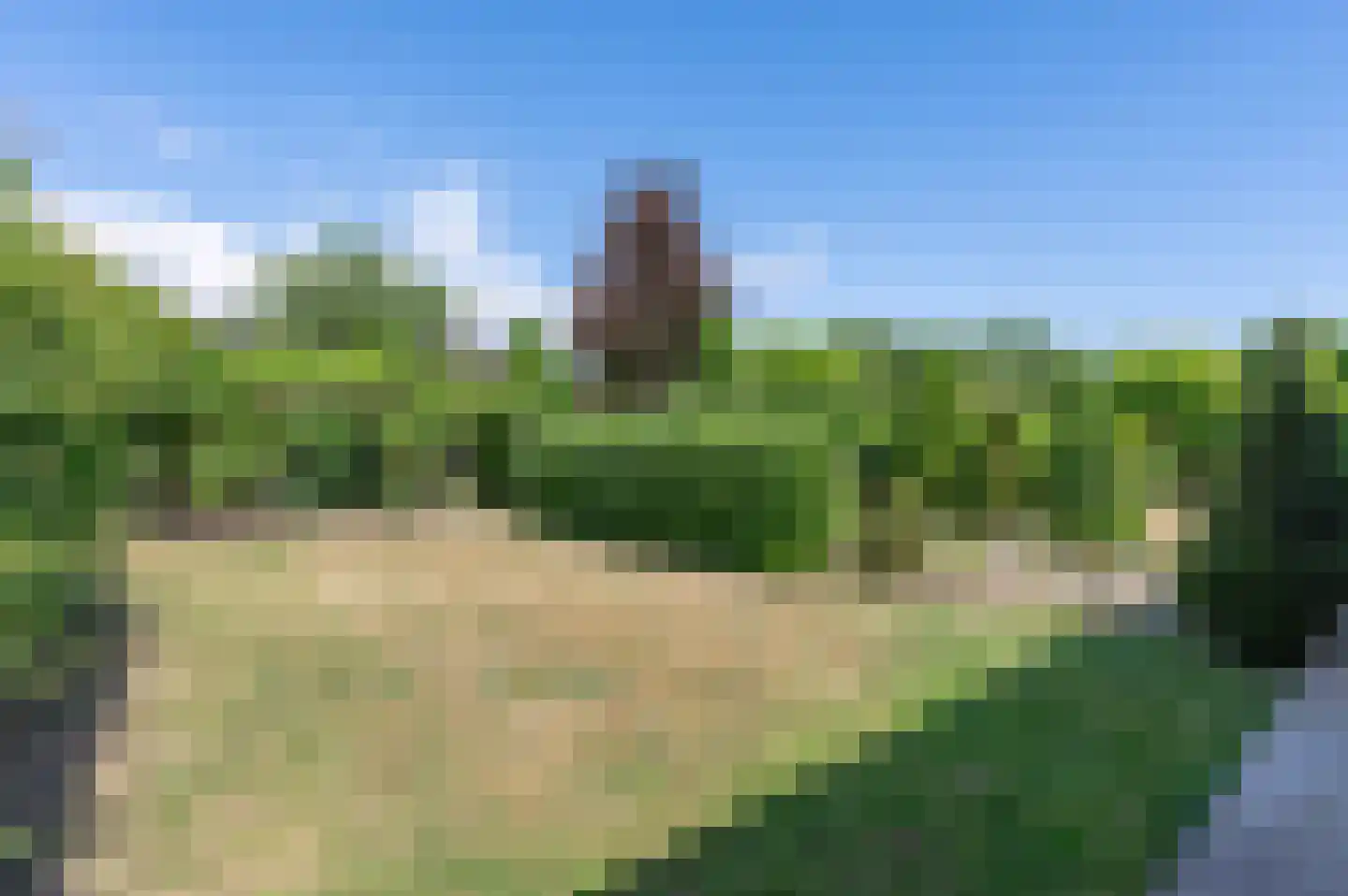 Maasbrachterweg 91 Echt thumbnail 41