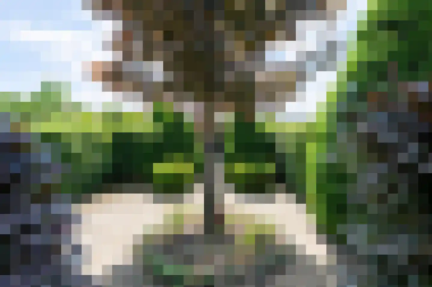 Maasbrachterweg 91 Echt thumbnail 42