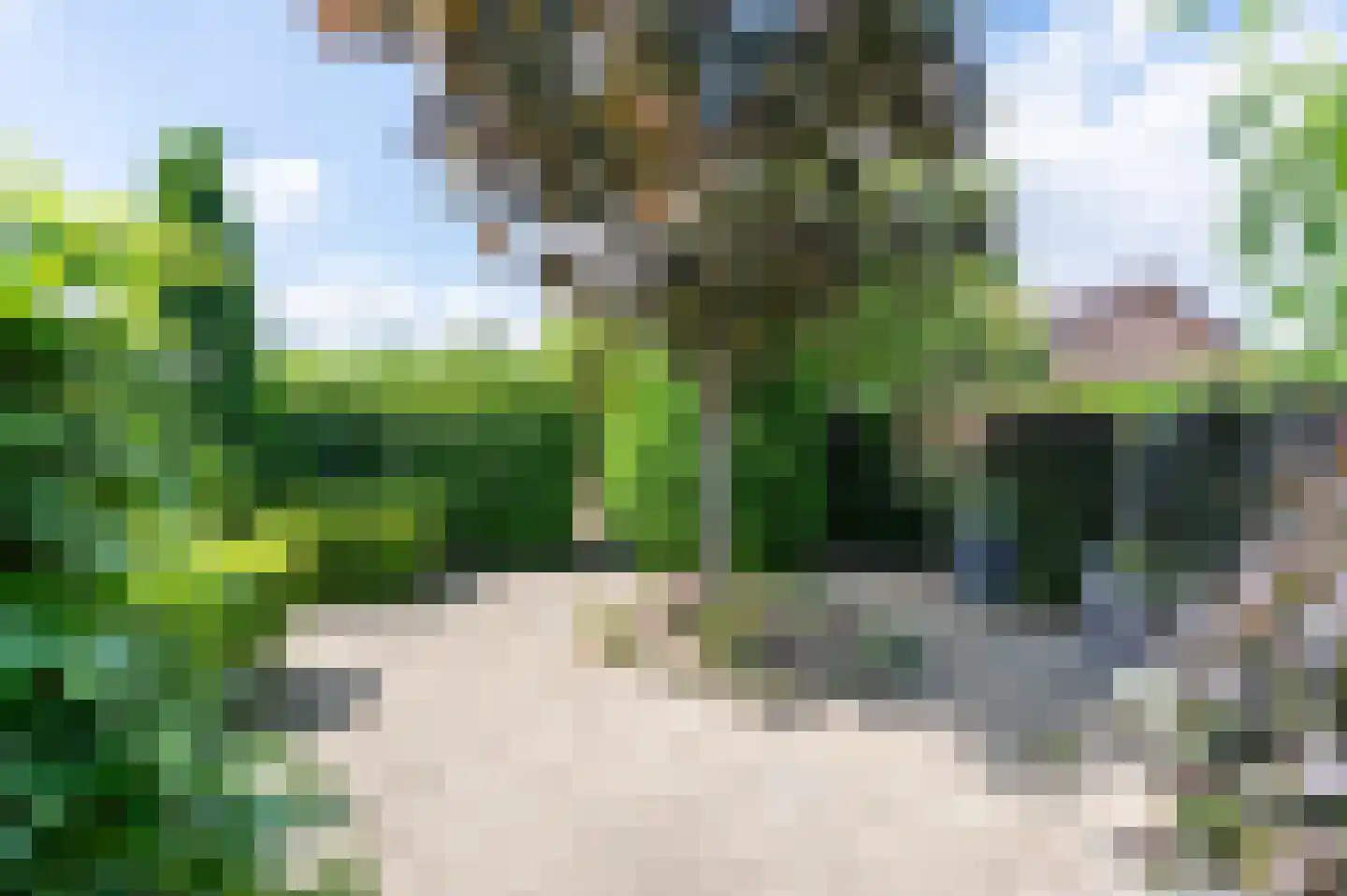 Maasbrachterweg 91 Echt thumbnail 43
