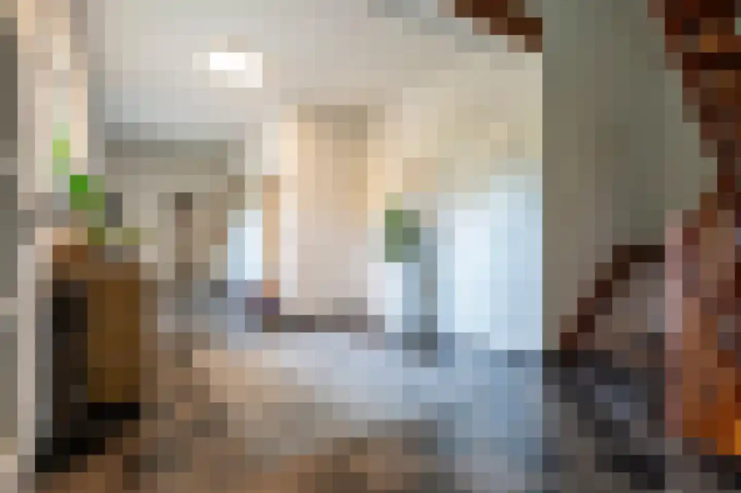 Maasbrachterweg 91 Echt thumbnail 5