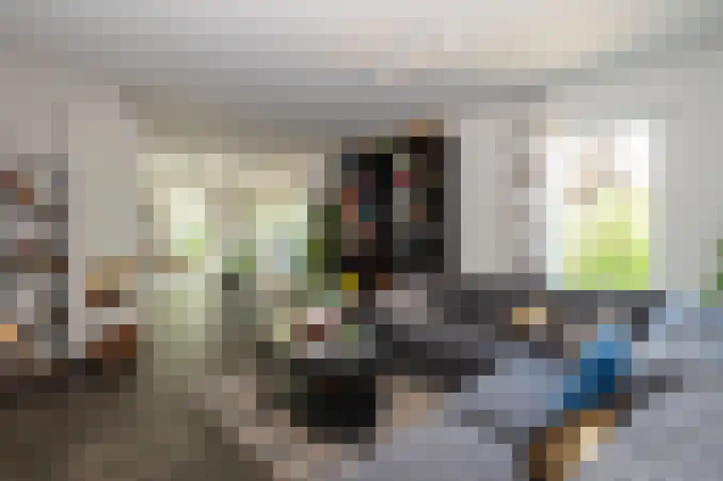 Maasbrachterweg 91 Echt thumbnail 7