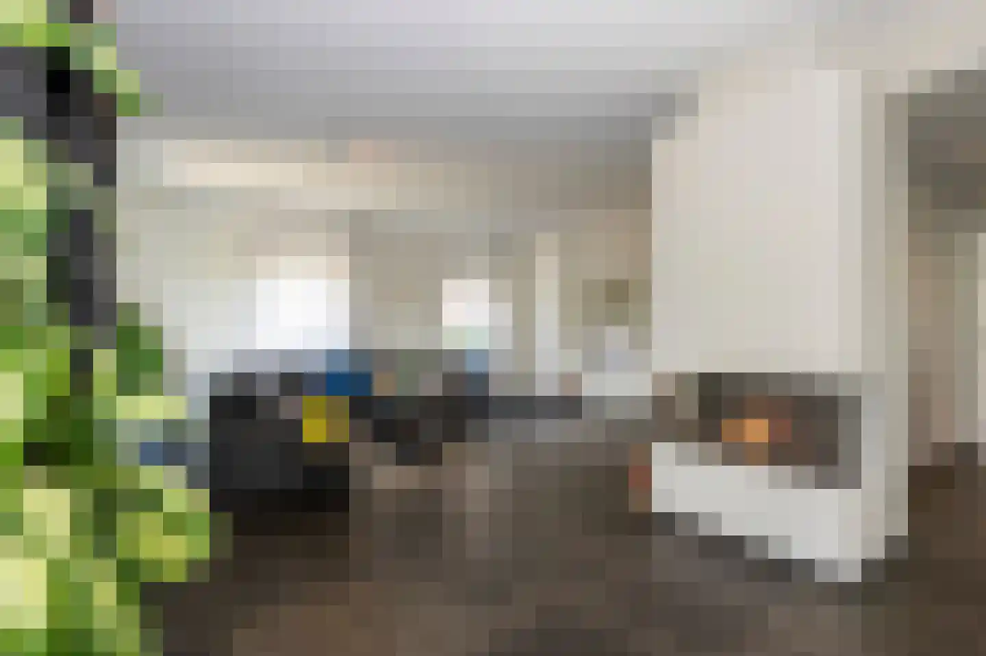 Maasbrachterweg 91 Echt thumbnail 8