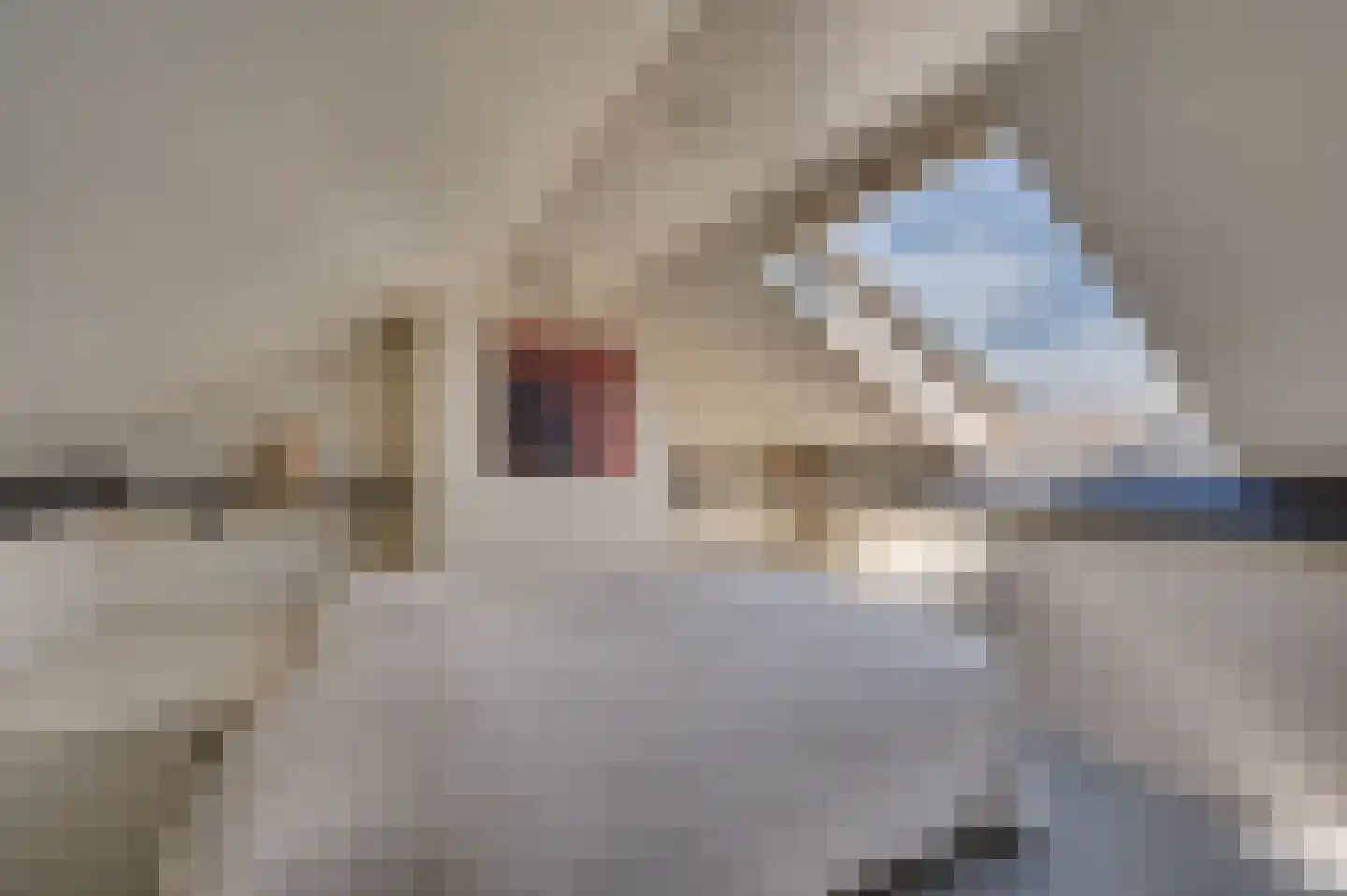 Maasbreesestraat 72 Venlo thumbnail 16