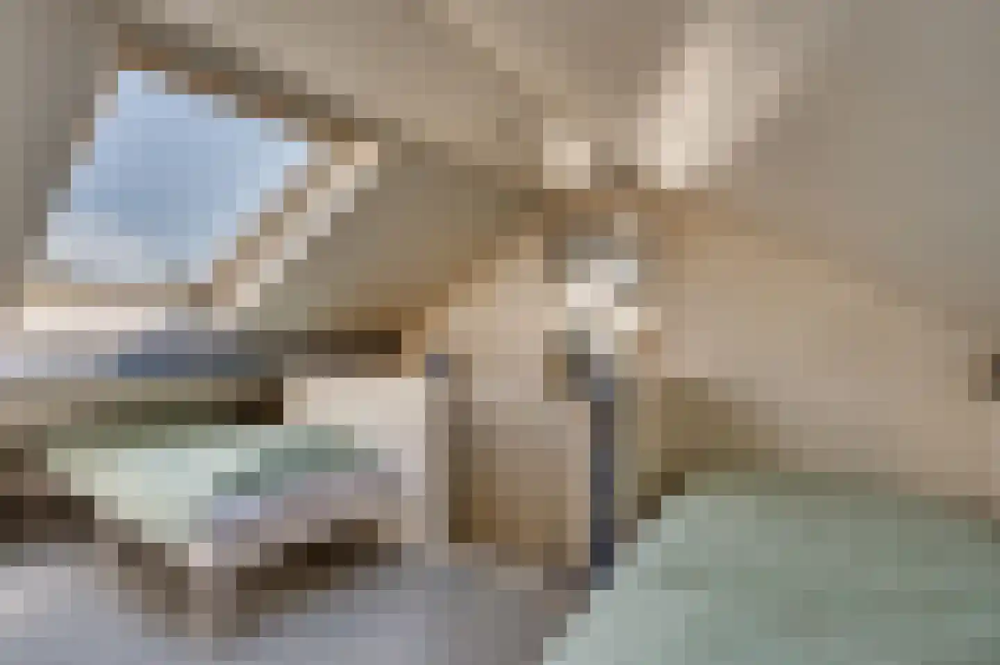 Maasbreesestraat 72 Venlo thumbnail 17