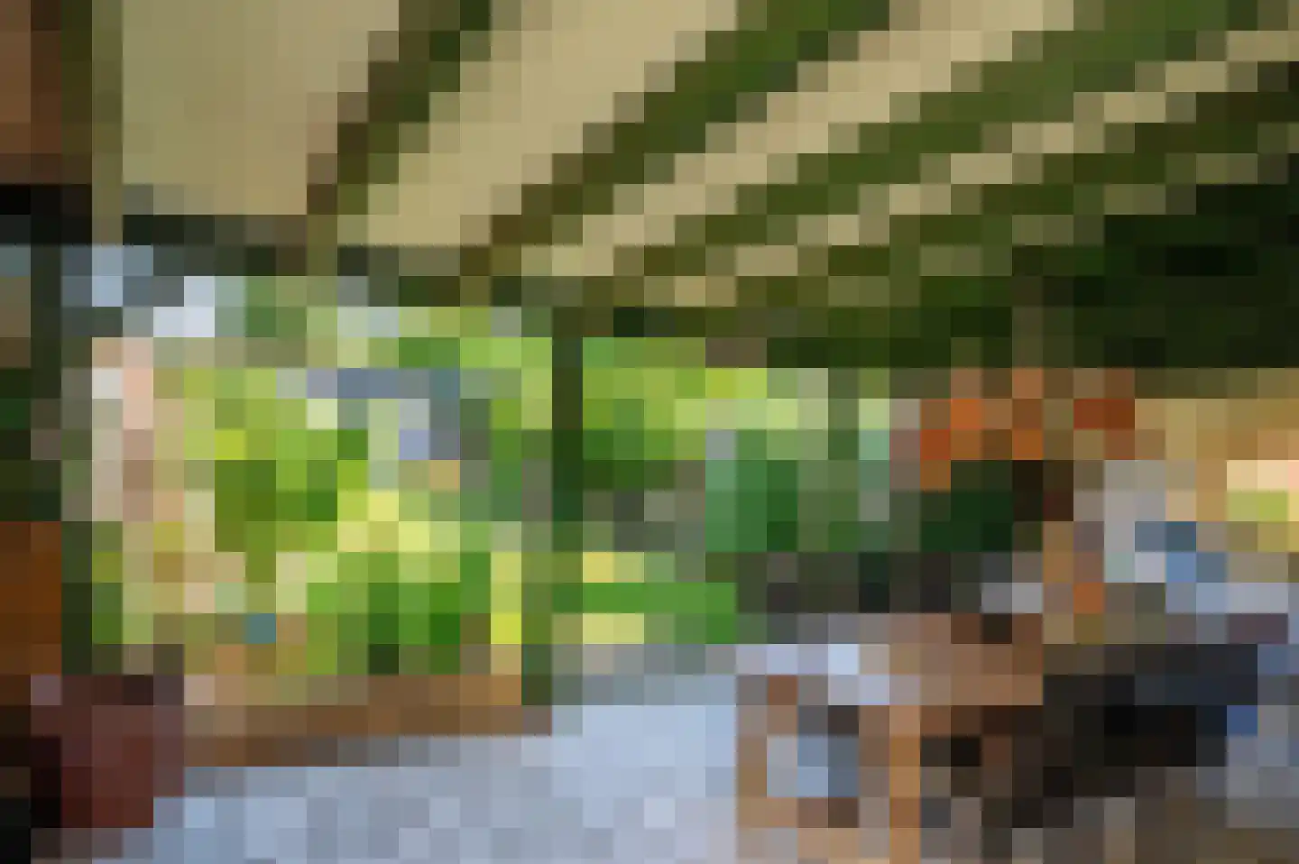 Maasbreesestraat 72 Venlo thumbnail 20