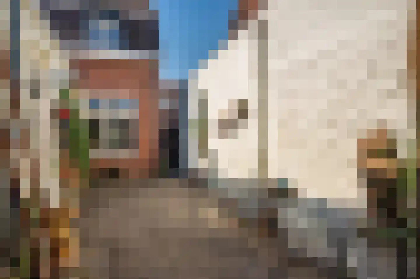 Maasbreesestraat 72 Venlo thumbnail 24