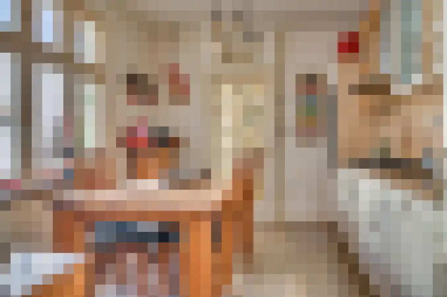 Maasbreesestraat 72 Venlo thumbnail 8
