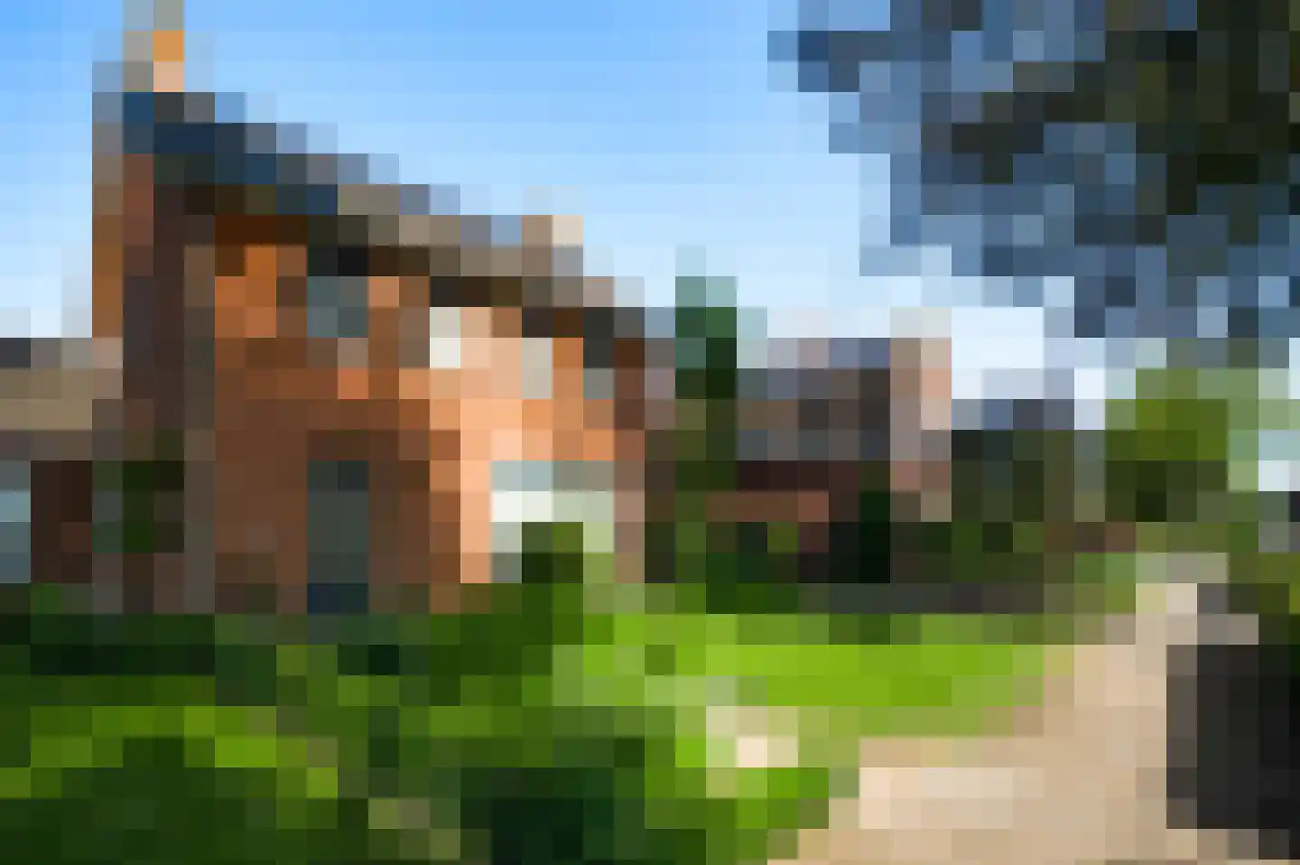 Maasbreeseweg 46 Sevenum thumbnail 10