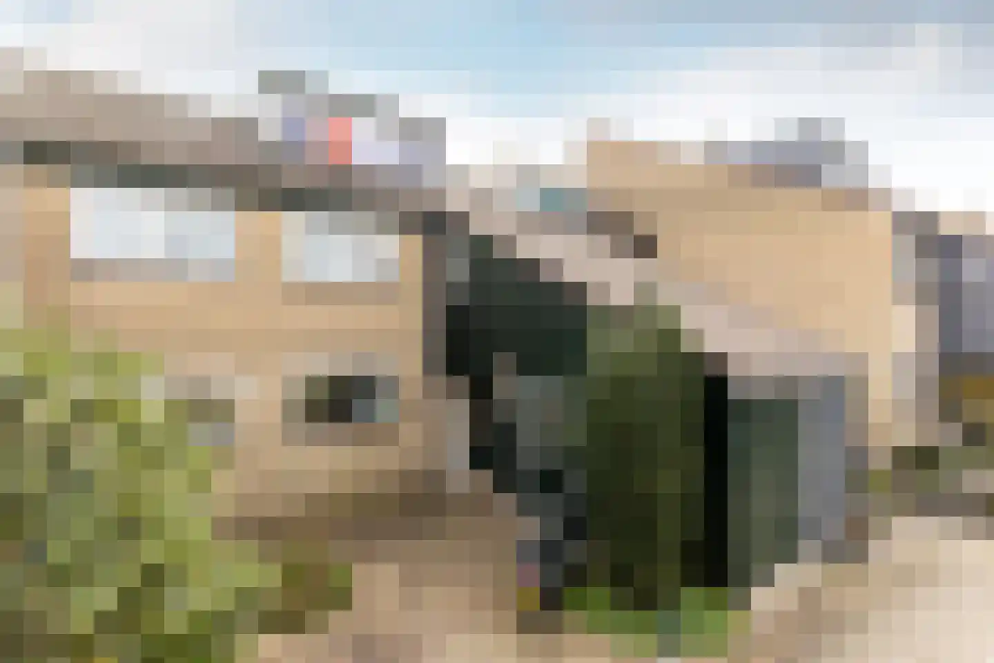 Maasdal 21 Capelle aan den IJssel thumbnail 5