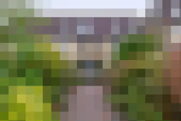 Maasdal 27 Capelle aan den IJssel thumbnail 4