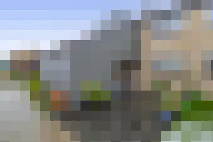 Maasdal 27 Capelle aan den IJssel thumbnail 5