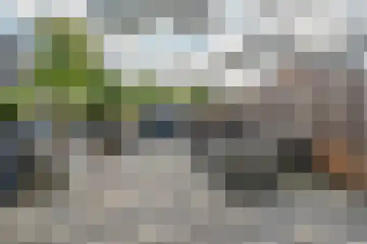 Maasdal 7 Capelle aan den IJssel thumbnail 12