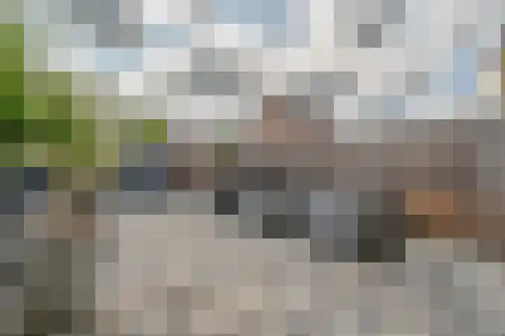 Maasdal 7 Capelle aan den IJssel thumbnail 13