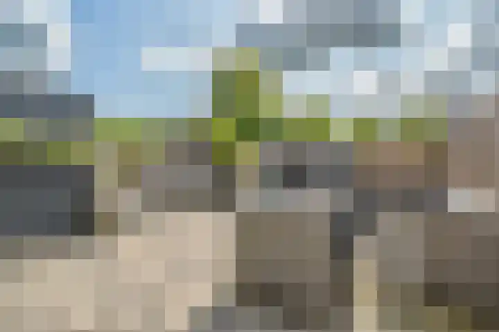 Maasdal 7 Capelle aan den IJssel thumbnail 14