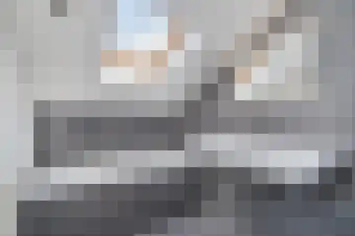 Maasdal 7 Capelle aan den IJssel thumbnail 20