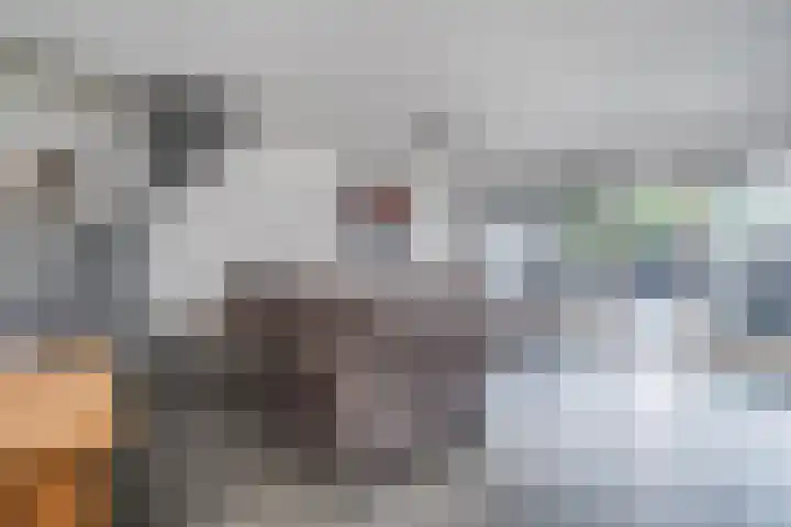 Maasdal 7 Capelle aan den IJssel thumbnail 8