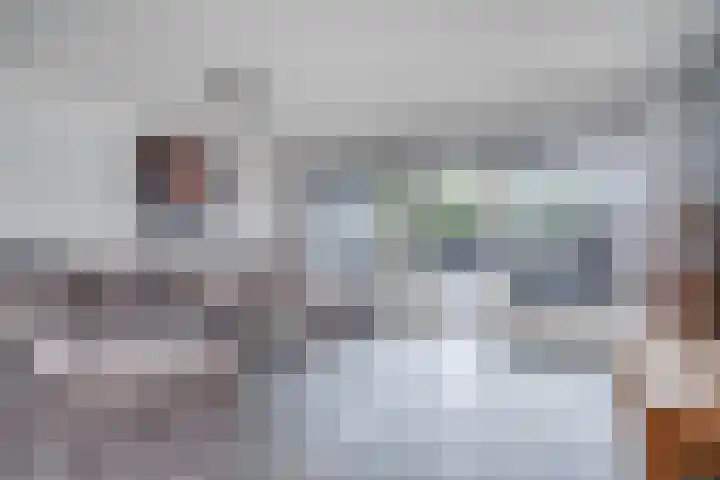 Maasdal 7 Capelle aan den IJssel thumbnail 9