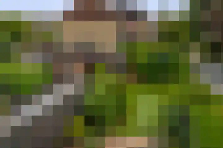 Maasdal 87 Capelle aan den IJssel thumbnail 36