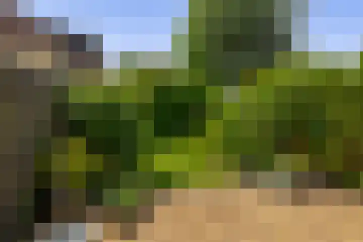 Maasdal 87 Capelle aan den IJssel thumbnail 37