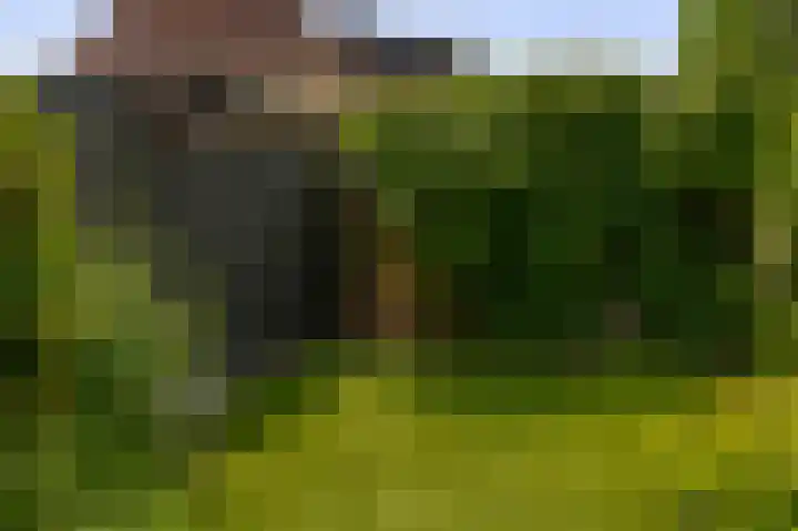 Maasdal 87 Capelle aan den IJssel thumbnail 38