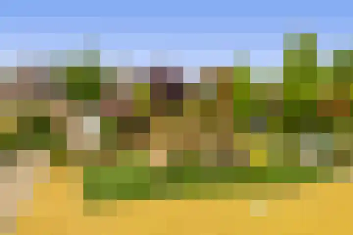 Maasdal 87 Capelle aan den IJssel thumbnail 48