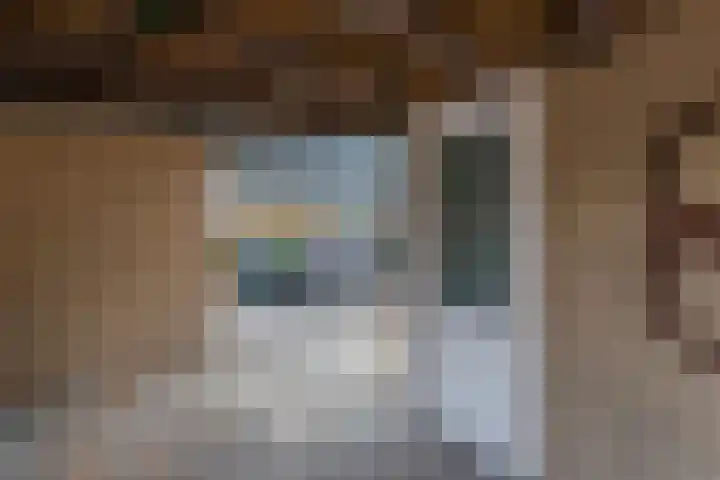 Maasdal 87 Capelle aan den IJssel thumbnail 5