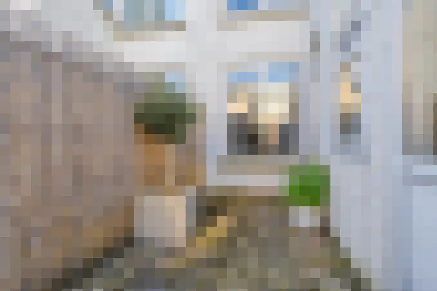 Maasdamsestraat 10 Schiedam thumbnail 29