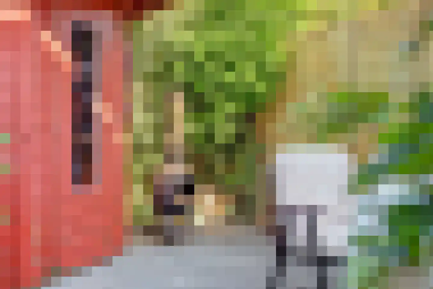 Maasdamsestraat 4 Schiedam thumbnail 34