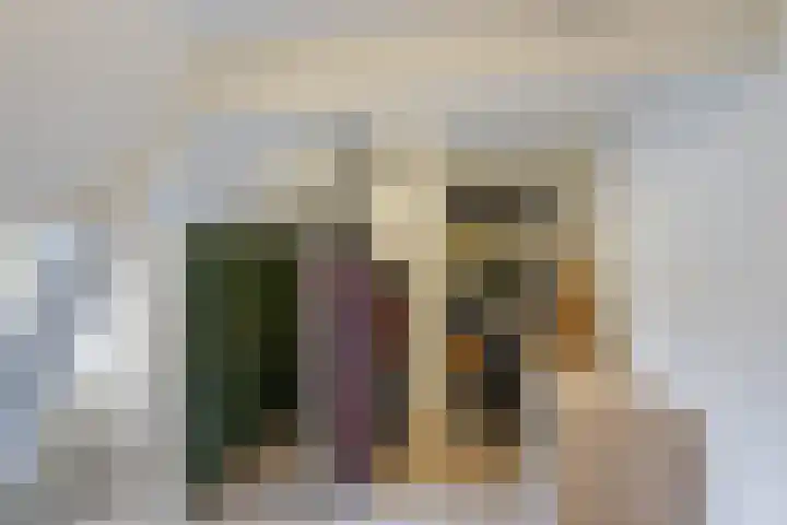 Maasdamsestraat 8 Schiedam thumbnail 34