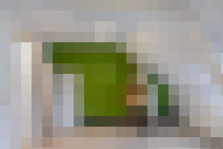 Maasdamsestraat 8 Schiedam thumbnail 35