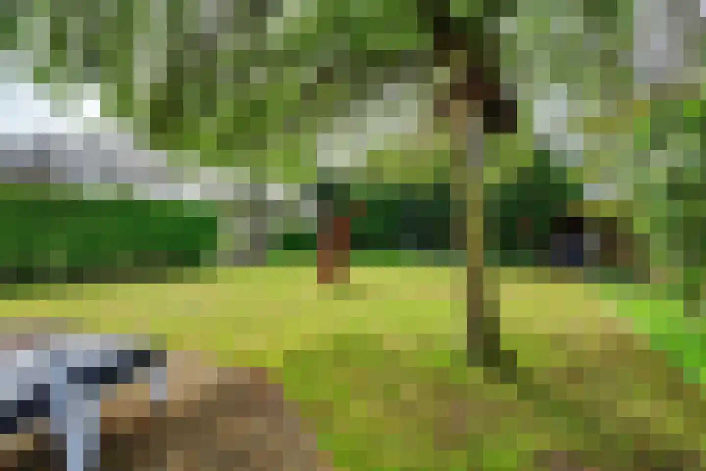 Maasdamseweg 1 's-Gravendeel thumbnail 42