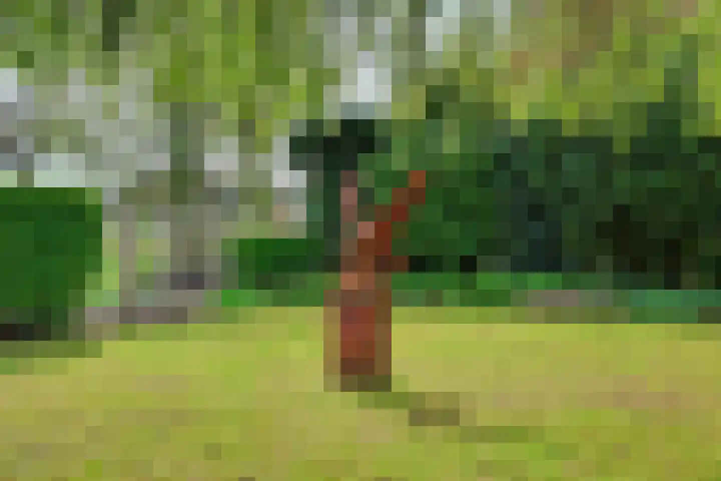 Maasdamseweg 1 's-Gravendeel thumbnail 43