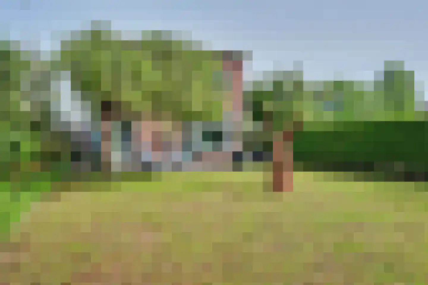 Maasdamseweg 1 's-Gravendeel thumbnail 45
