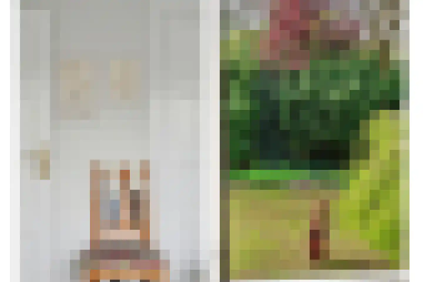 Maasdamseweg 1 's-Gravendeel thumbnail 53