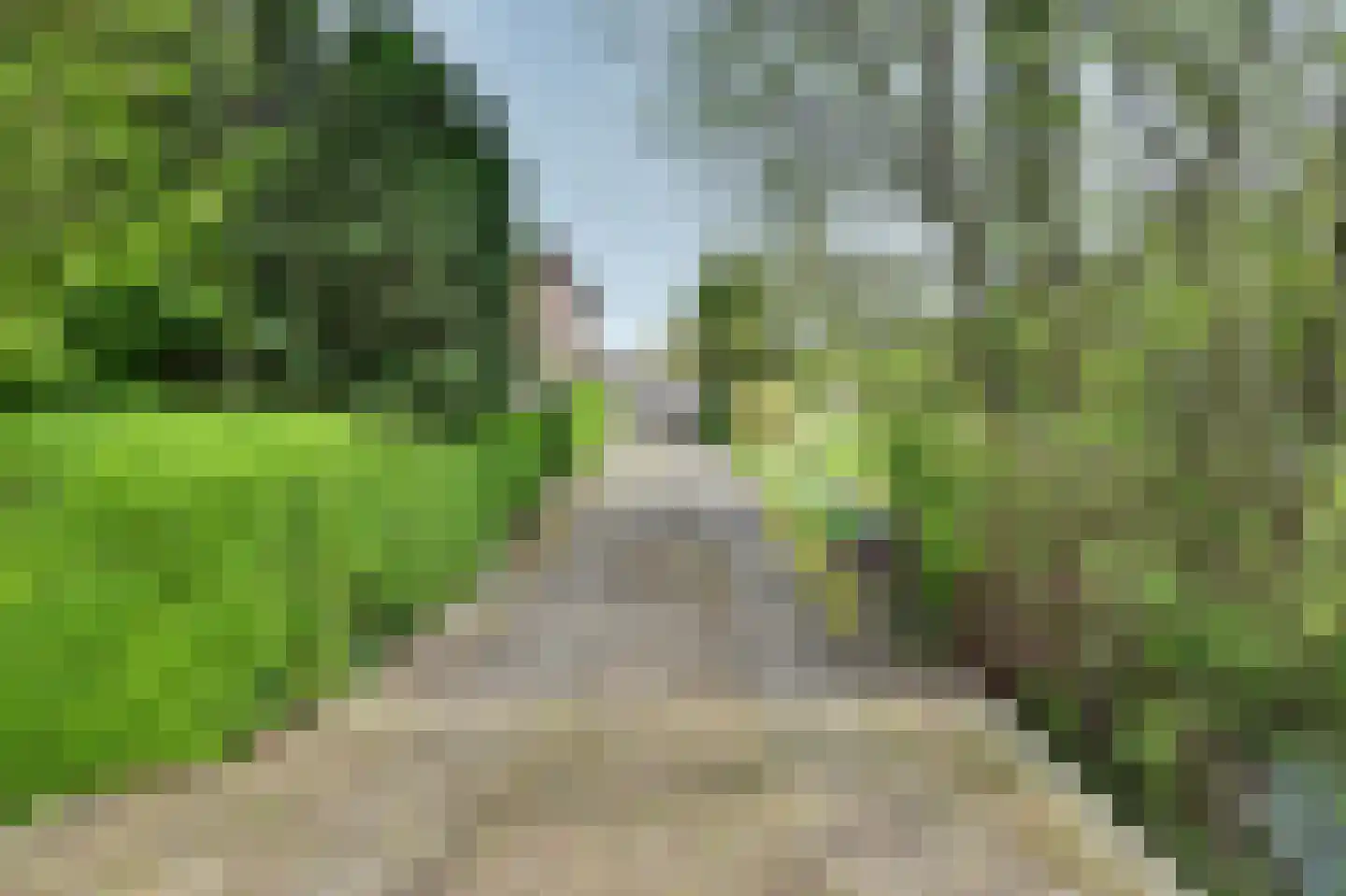 Maasdamseweg 1 's-Gravendeel thumbnail 7
