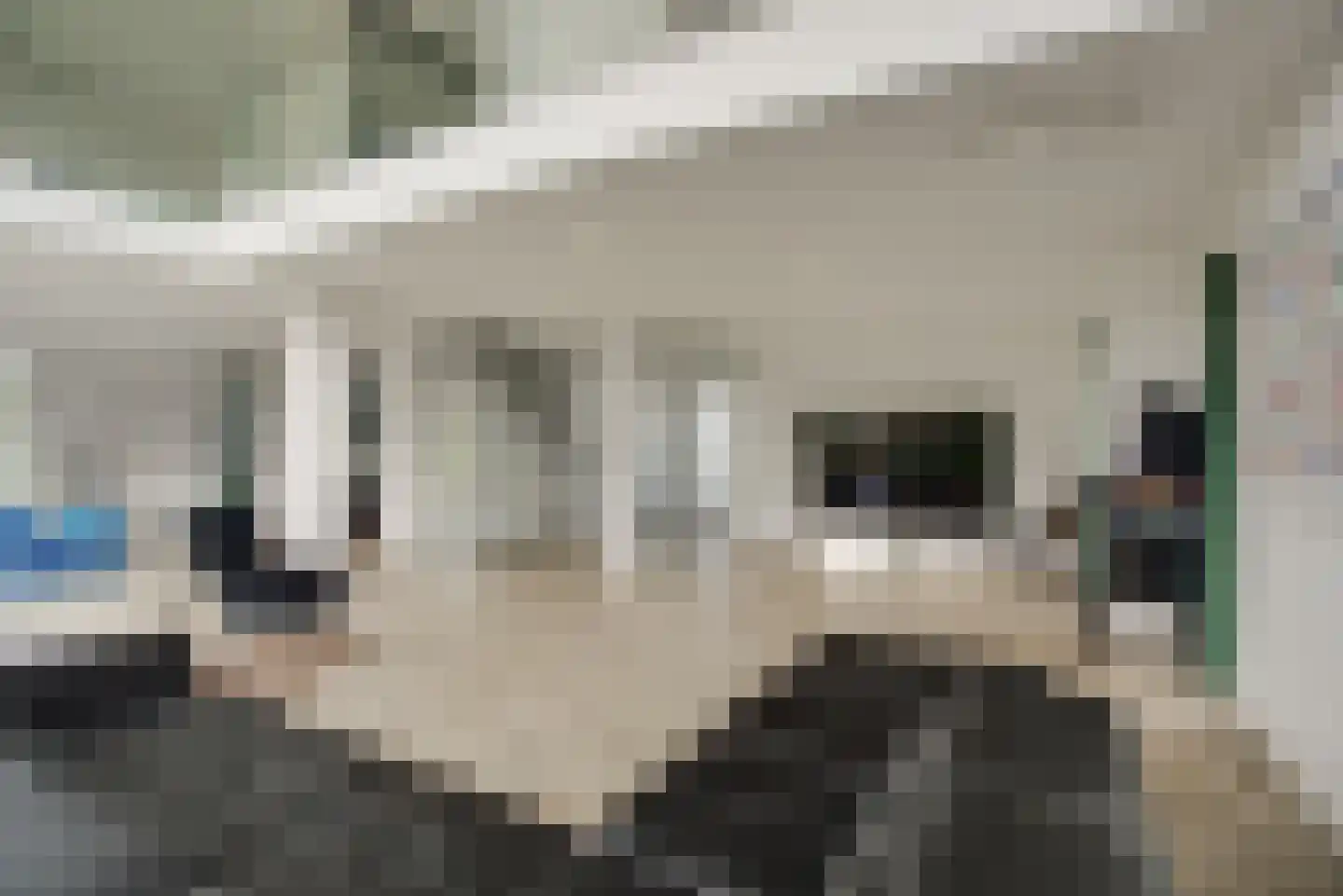 Maasdamstraat 22 B Zoetermeer thumbnail 10